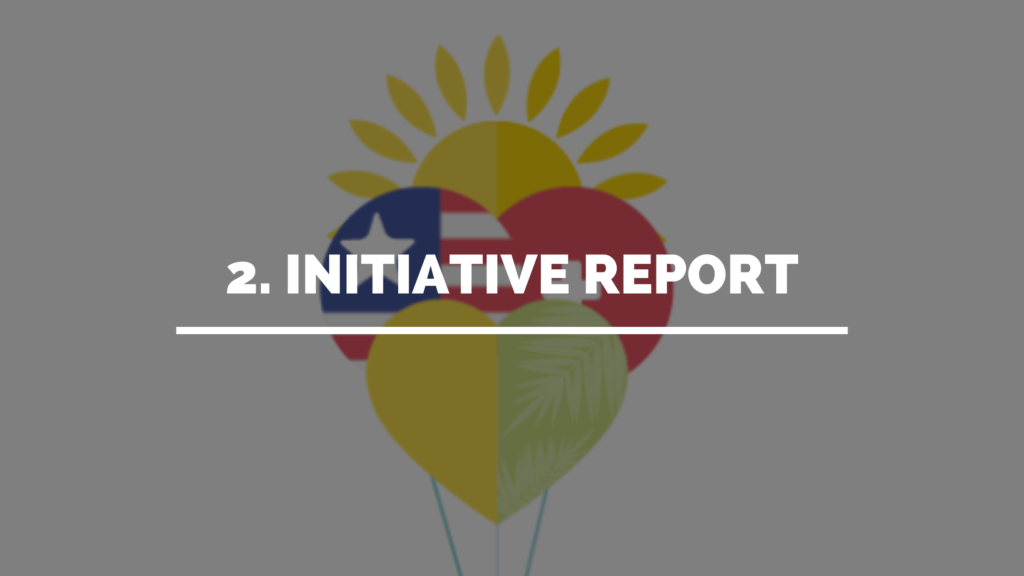 2. Initiative Report